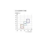 HOLZAC ふくらはぎ用サポーター (2枚入)